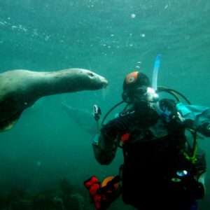 Farne Islands dive weekend