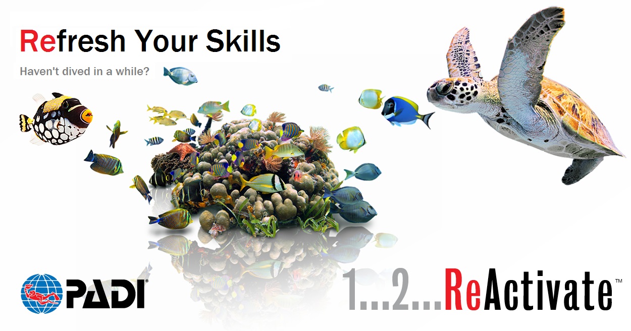 isr refresher course