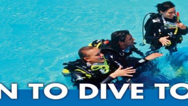 padi_learntodive