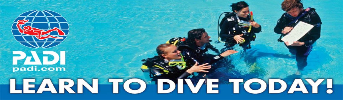 padi_learntodive