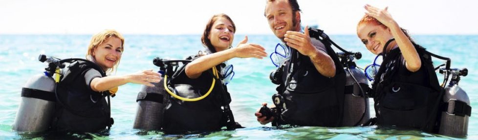 Young group of divers in the water. Young group of divers in the water.