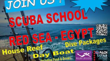 Join Scuba School's Day Boat in Egypt!